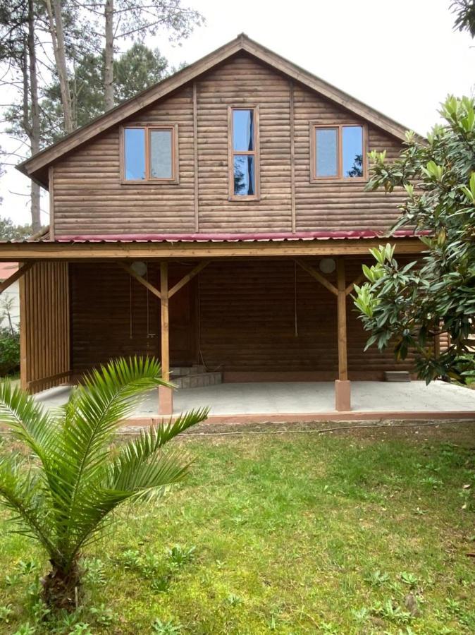 Green Cottage Shekvetili Уреки Экстерьер фото