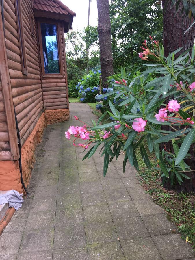Green Cottage Shekvetili Уреки Экстерьер фото